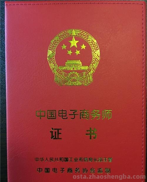 中国电子商务师证 中国电子商务师证官网